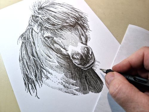 pony 1